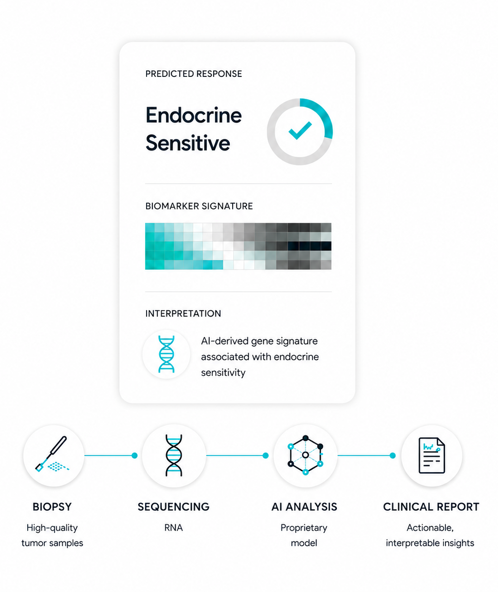 Endorse bx: biopsy through AI to clinical report — clinic-ready infrastructure visualization